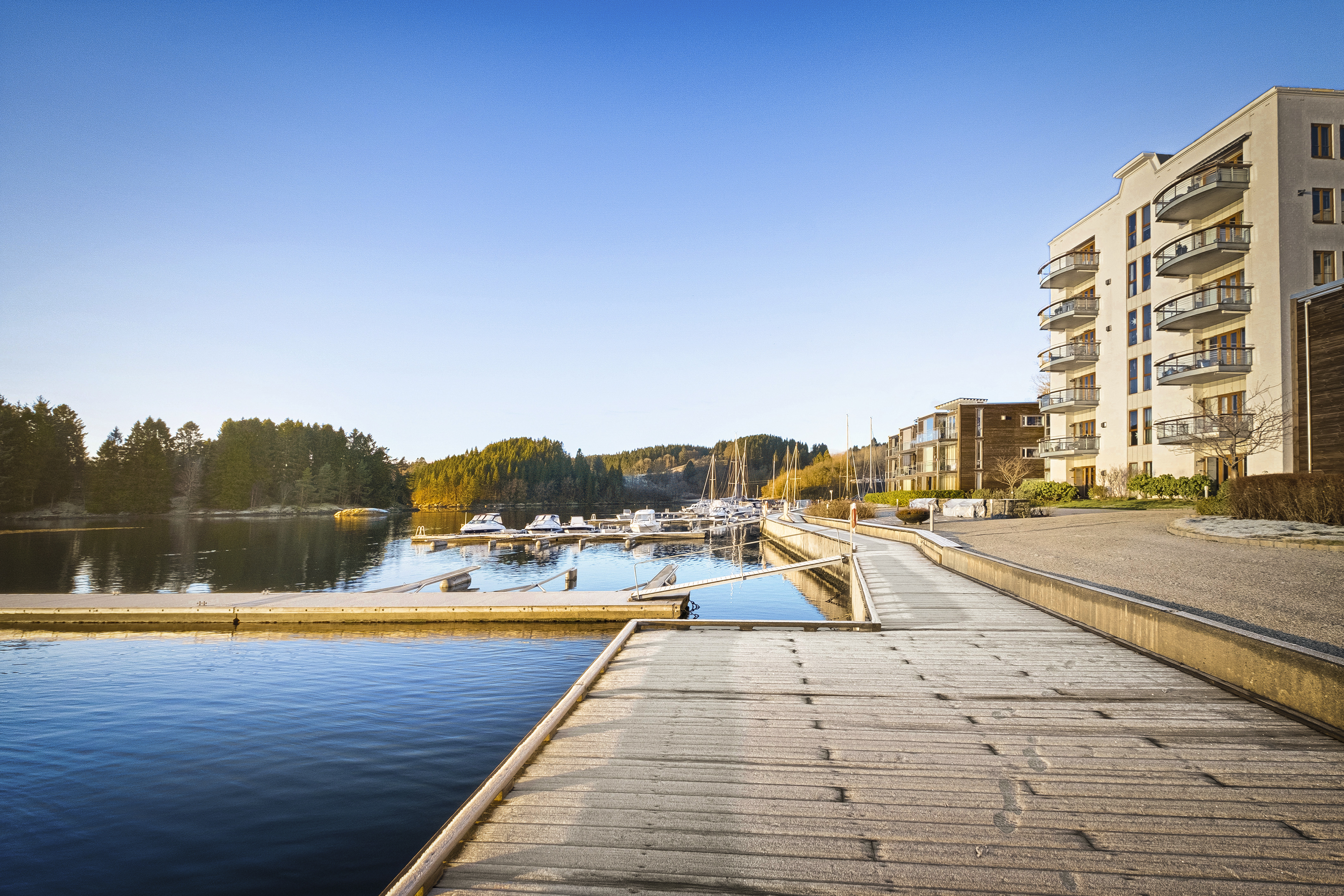 Fanahammeren%2024%20PROAKTIV-40